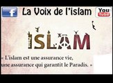 Mode de vie en islam 5 : les habitudes alimentaires 5