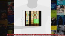 Read  Detroits Historic Places of Worship Painted Turtle  Full EBook