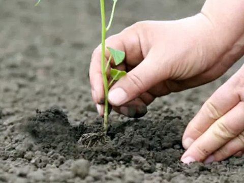 Investments for Life