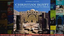 Download  Christian Egypt Coptic Art and Monuments Through Two Millennia Full EBook Free