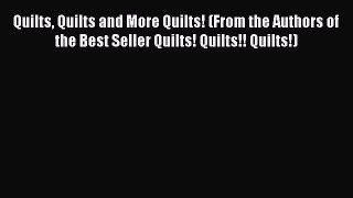 Read Quilts Quilts and More Quilts! (From the Authors of the Best Seller Quilts! Quilts!! Quilts!)