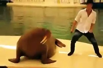 Джексон жив!