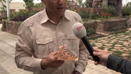 Antalya-Dünyanın En Büyük Kelebeği 'Atlas' Antalya'da