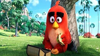 Watch The Angry Birds Movie Online Free Ganool