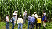 AgroLAC 2025 - Sustainable Agricultural Development for Latin America and the Caribbean