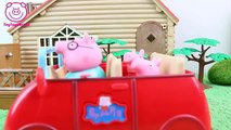 Pig George da Familia Peppa Pig com Medo da Rede Cai Novelinha ToyToysBrasil Peppa Pig em Português