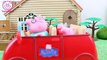 Pig George da Familia Peppa Pig com Medo da Rede Cai Novelinha ToyToysBrasil Peppa Pig em Português