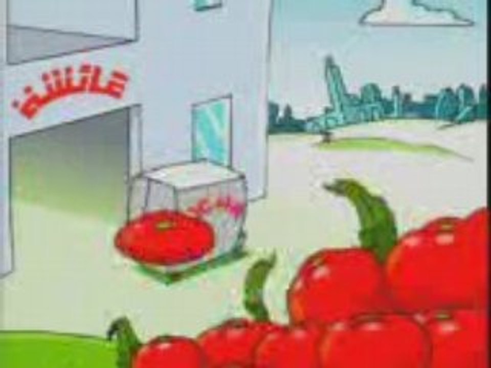 Pub Tomates Aicha