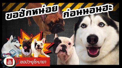 เชอบัว ยูโร มายา ตอนที่ 62 ขอซักหน่อยก่อนนอนฮะ