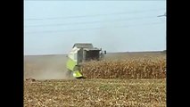 METALAGRO MA660 during corn harvest