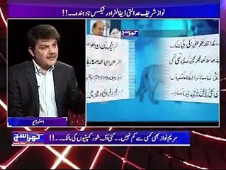 کیا اقتدار کی خاطر شریف خاندان دو حصوں میں تقسیم ہو چکا؟؟