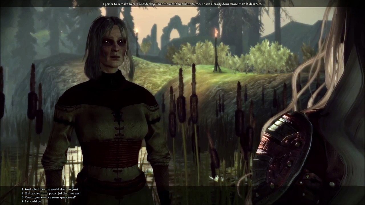 Dragon Age: Origins - Flemeth and the Blight
