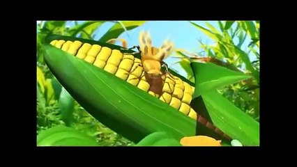 GMO Documentary: Genetic Roulette (17-minute trailer)