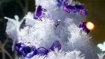 Snow White Christmas Tree Next To Santa Claus | Stock Footage