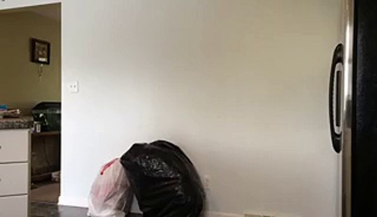 What This Girl Did To Her Husband in Amazingly Hilarious - Very Funny