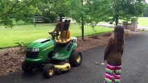 9 yr old girl doing obedience on a John Deer tractor
