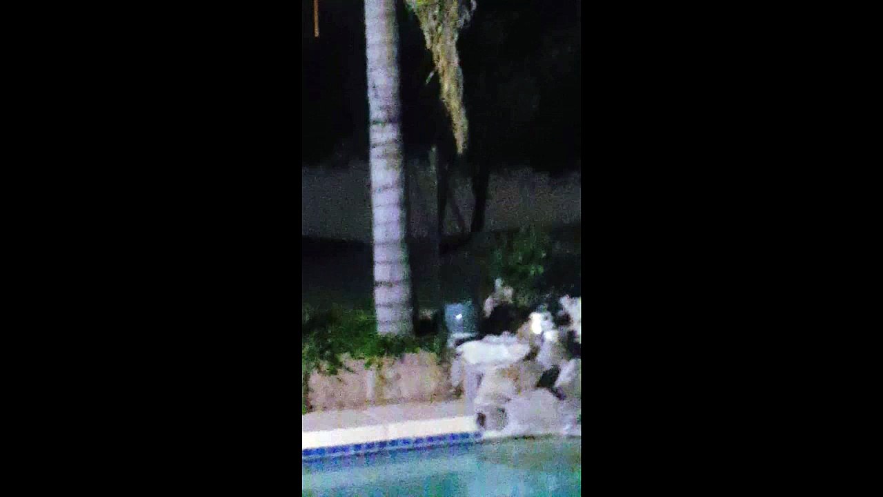 UFOs over Mesa, Arizona 6 April 2016
