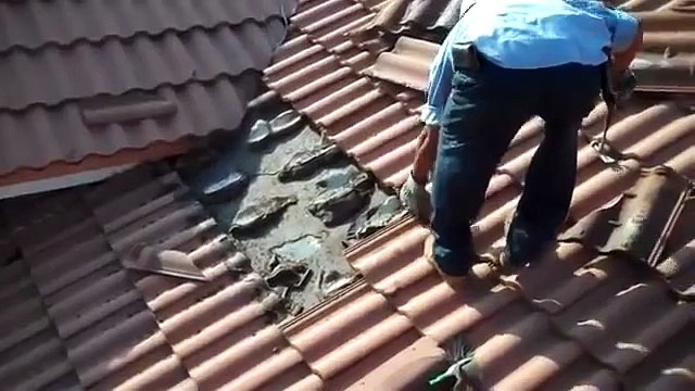 Découverte flippante sous les tuiles de son toit...