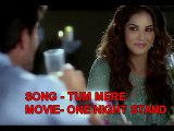 TUM MERE - ONE NIGHT STAND - SUNNY LEONE