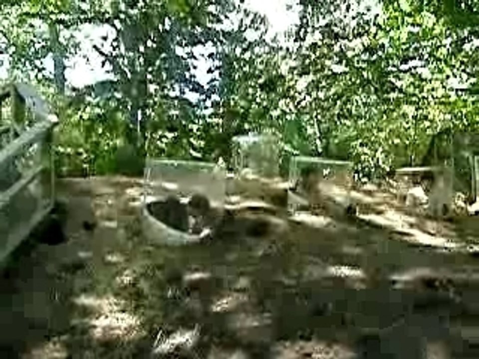 2007_0616BronxZoo0015