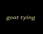 Goat tying in the mud -