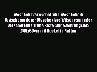 NEUES PRODUKT Zum Kaufen W?schebox W?schetruhe W?schekorb W?schesortierer W?schekiste W?schesammler