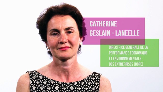 La nouvelle direction générale de la performance économique et environnementale des entreprises (DGPE) - Catherine Geslain-Lanéelle