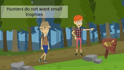 What's A Great Size Trophy On BC Moose Hunts?