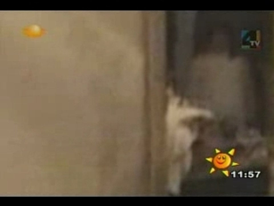 Ghost girl
