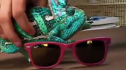 Merical Of Allah Subhan Wa Talah