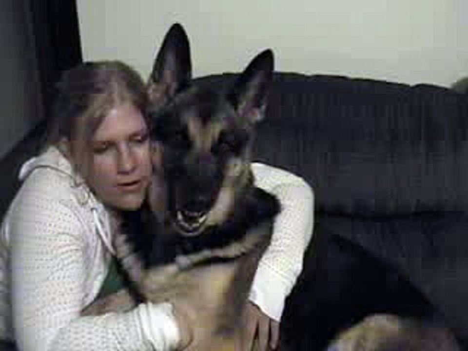shepherd mad