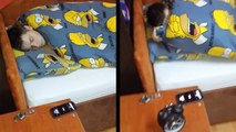 This Guy's Roommate Can Sleep Through Just About Anything