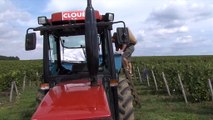 L'appellation Vouvray fête ses 80 ans