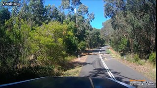 a semi nearly takes out oncoming traffic after trying to avoid hitting a fallen tree