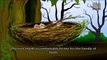 Jataka Tales - Moral Stories for Children - The Wise Jackal & The Stupid Monkeys - Animate