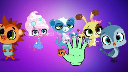Littlest Pet Shop Finger Family Nursery Rhymes For Children