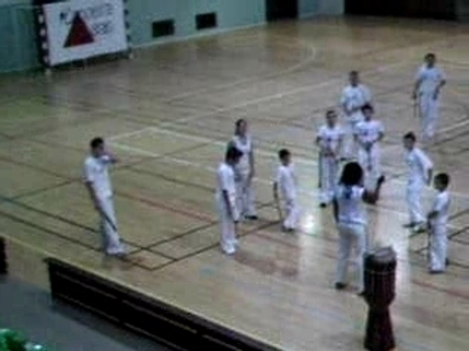 capoeira gerais paris