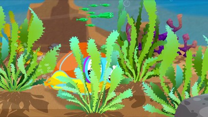 Denizaltı Flippy - Roket - Eğitici çizgi film