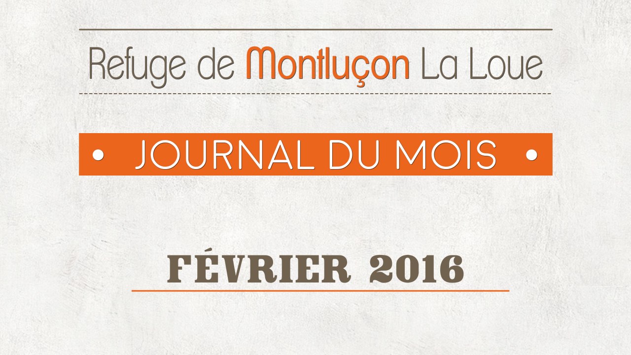 Un mois au refuge : février 2016