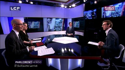 Invité : Guillaume Larrivé - La loupe du Scan (08/04/2016)