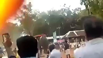 Elephant rampage at Temple