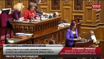Séance : Protection des mineurs - Audition : Axelle Lemaire, Secrétaire d'État au Numérique - Les matins du Sénat