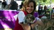 A Passion for Rescued Pets with Purina® Pro Plan® Rally to Rescue