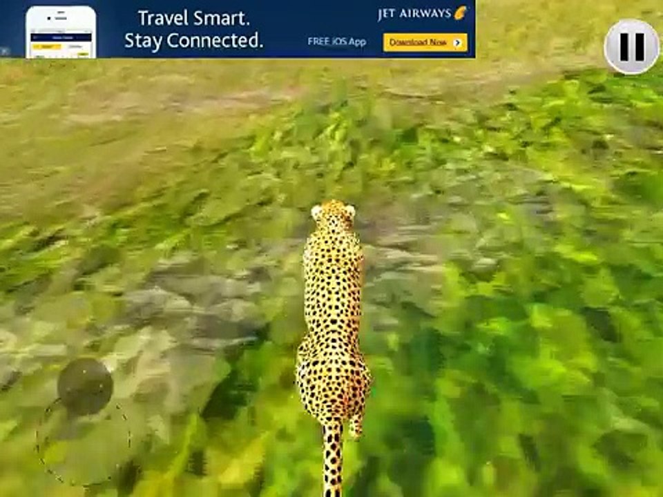 African Cheetah Safari Mountain Simulator iOS Gameplay, Compatiable With iPhone and iPad