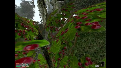 Let's Play Morrowind Part 26