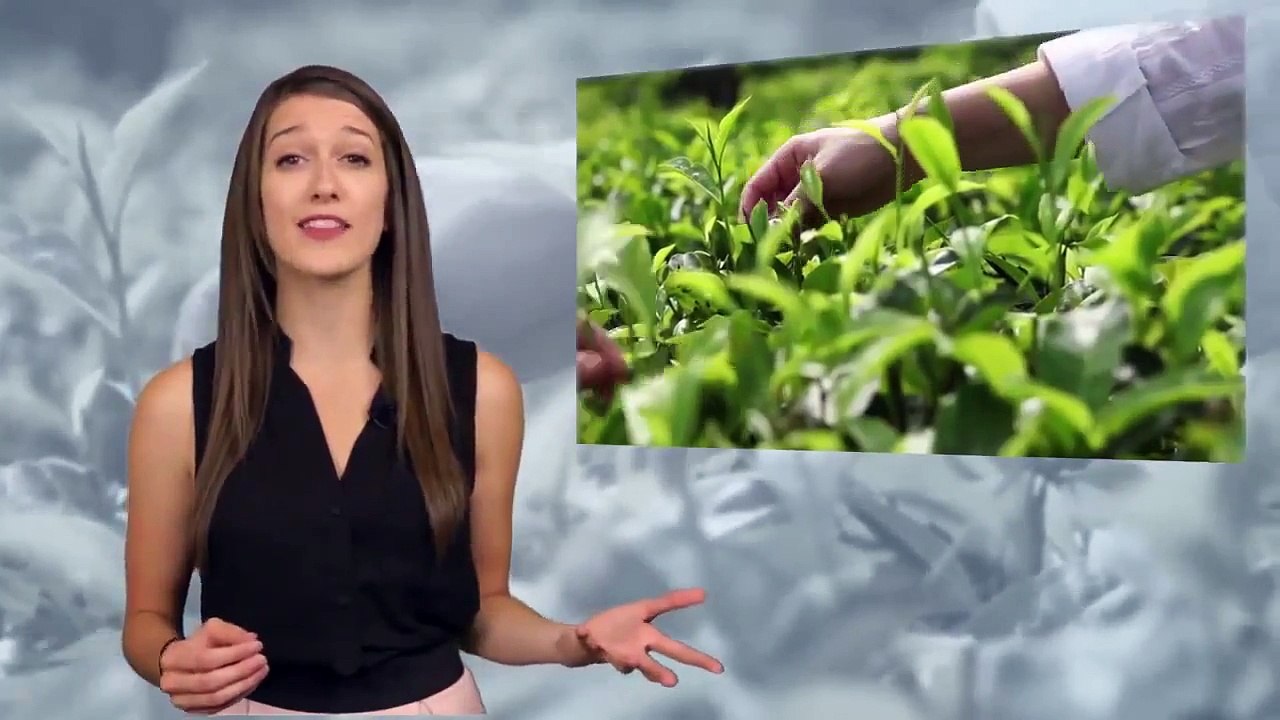 RGX1   Fuxion Products