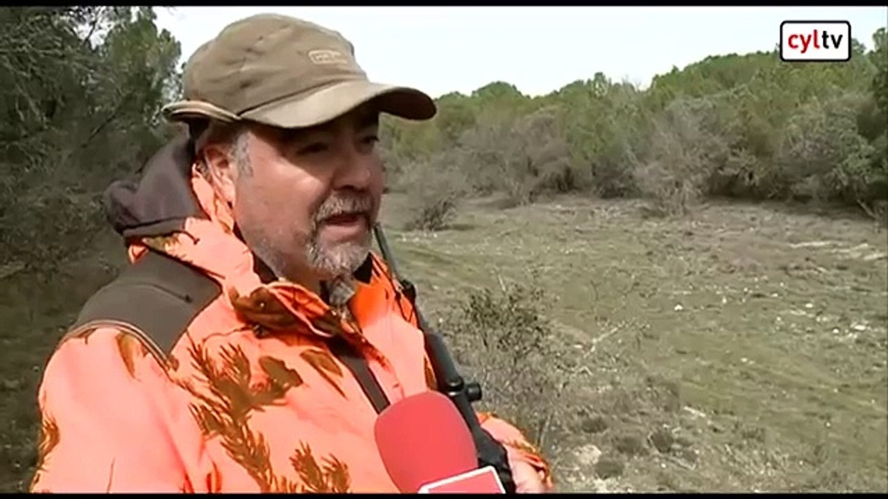 La temporada de caza mayor se cierra en Castilla y León con la captura de 35.000 jabalíes