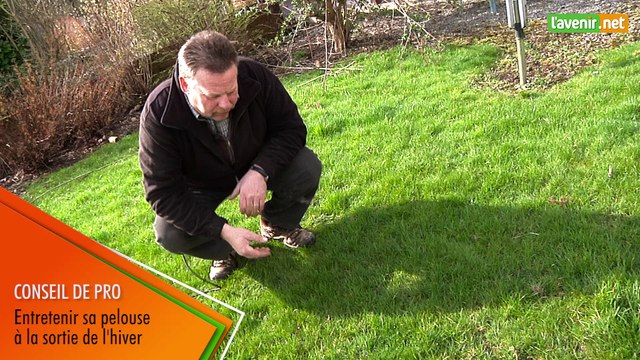 L'Avenir - Jardin - Entretenir la pelouse