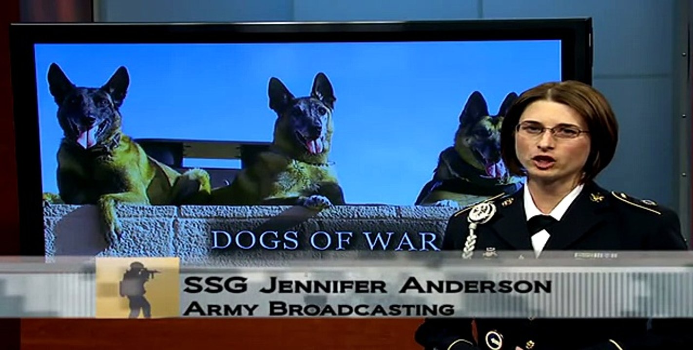 War Dog