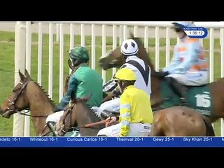 Crabbie's Grand National 2016 | Day 2 - Race 1